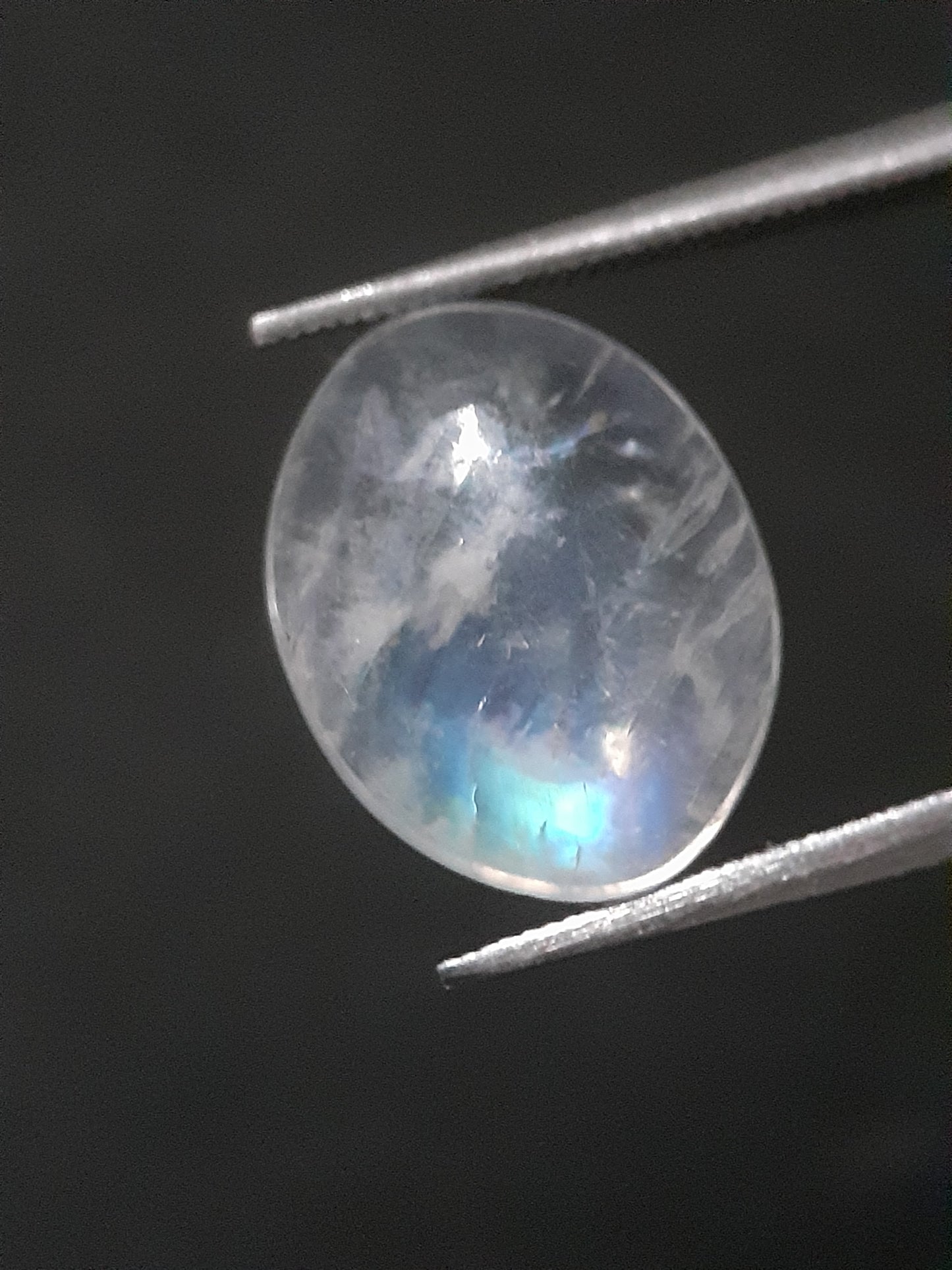 Natural Moonstone - blue adularescence - 2.945 ct - oval - certified natural - Natural Gems Belgium