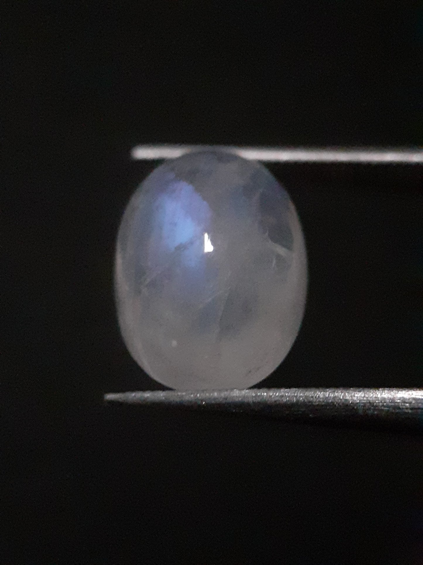 Natural Moonstone - blue adularescence - 4.115 ct - oval - certified natural - Natural Gems Belgium