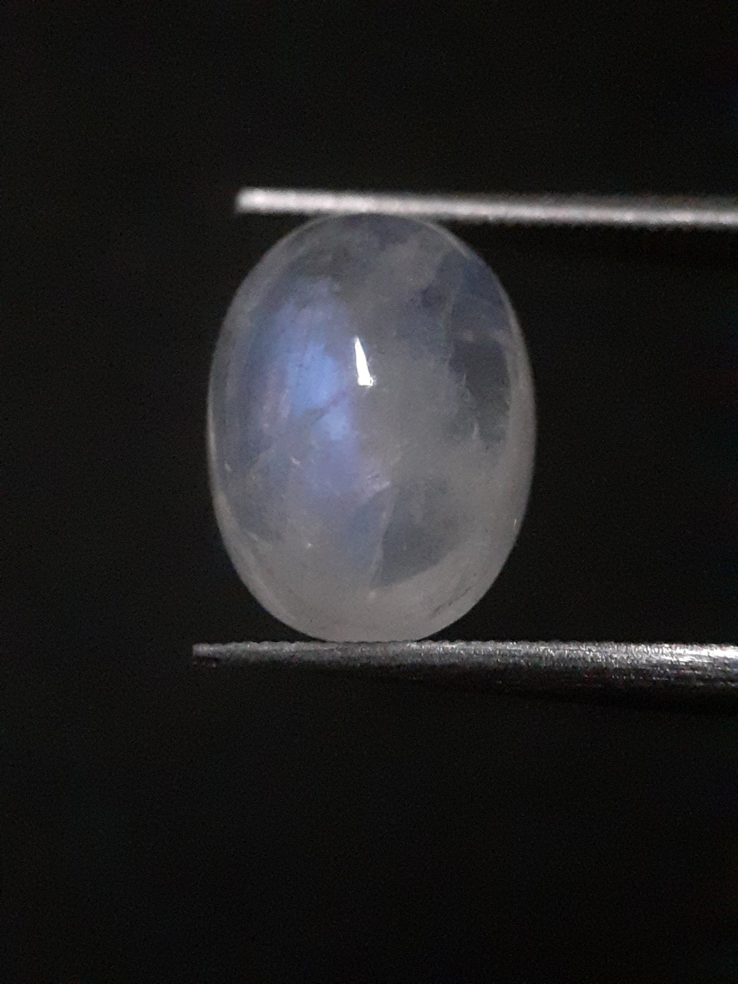 Natural Moonstone - blue adularescence - 4.115 ct - oval - certified natural - Natural Gems Belgium