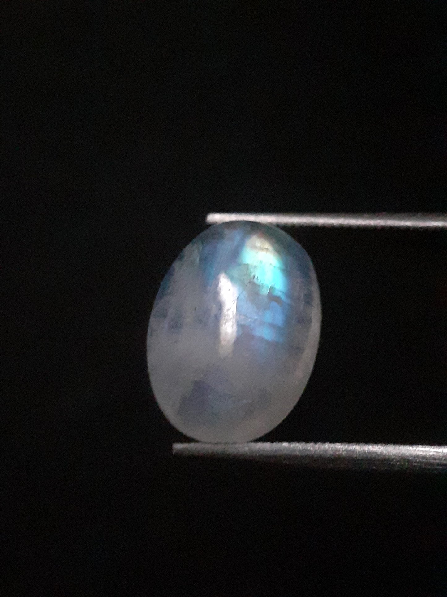 Natural Moonstone - blue adularescence - 2.810 ct - oval - certified natural - Natural Gems Belgium