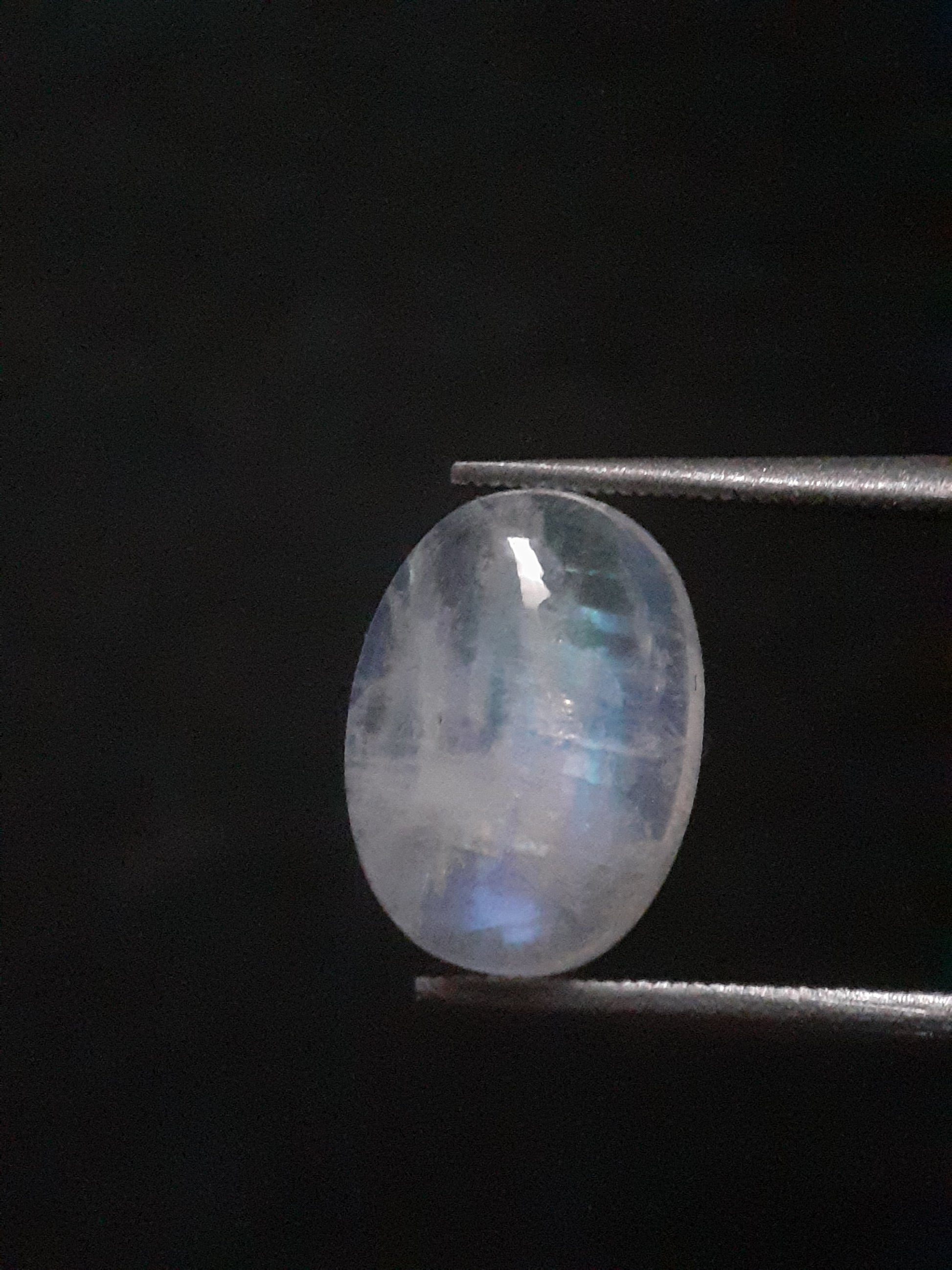 Natural Moonstone - blue adularescence - 2.810 ct - oval - certified natural - Natural Gems Belgium