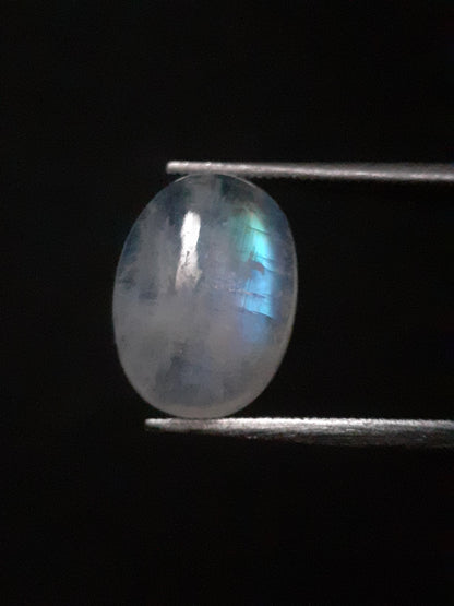 Natural Moonstone - blue adularescence - 2.810 ct - oval - certified natural - Natural Gems Belgium