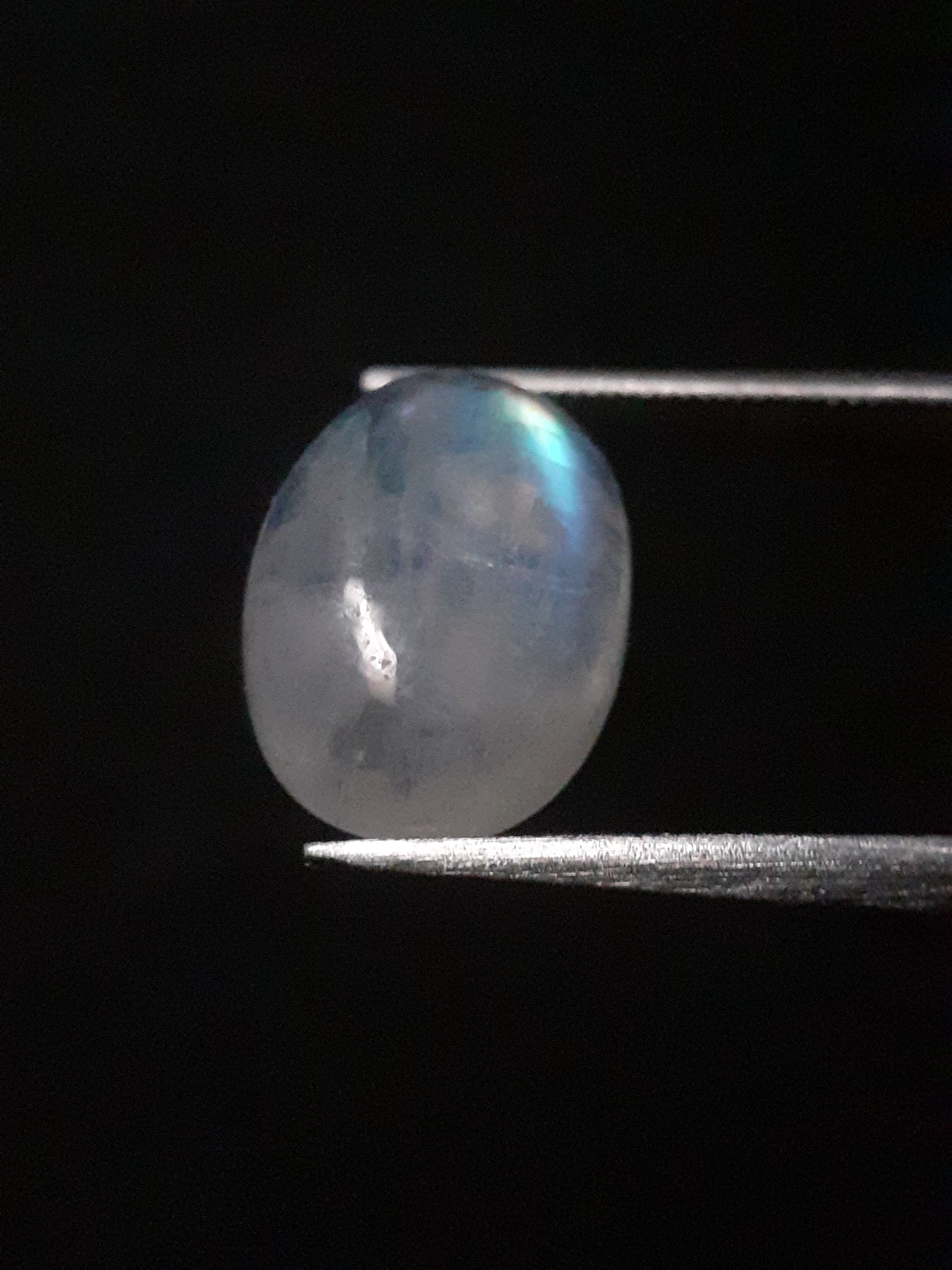 Natural Moonstone - blue adularescence - 2.810 ct - oval - certified natural - Natural Gems Belgium