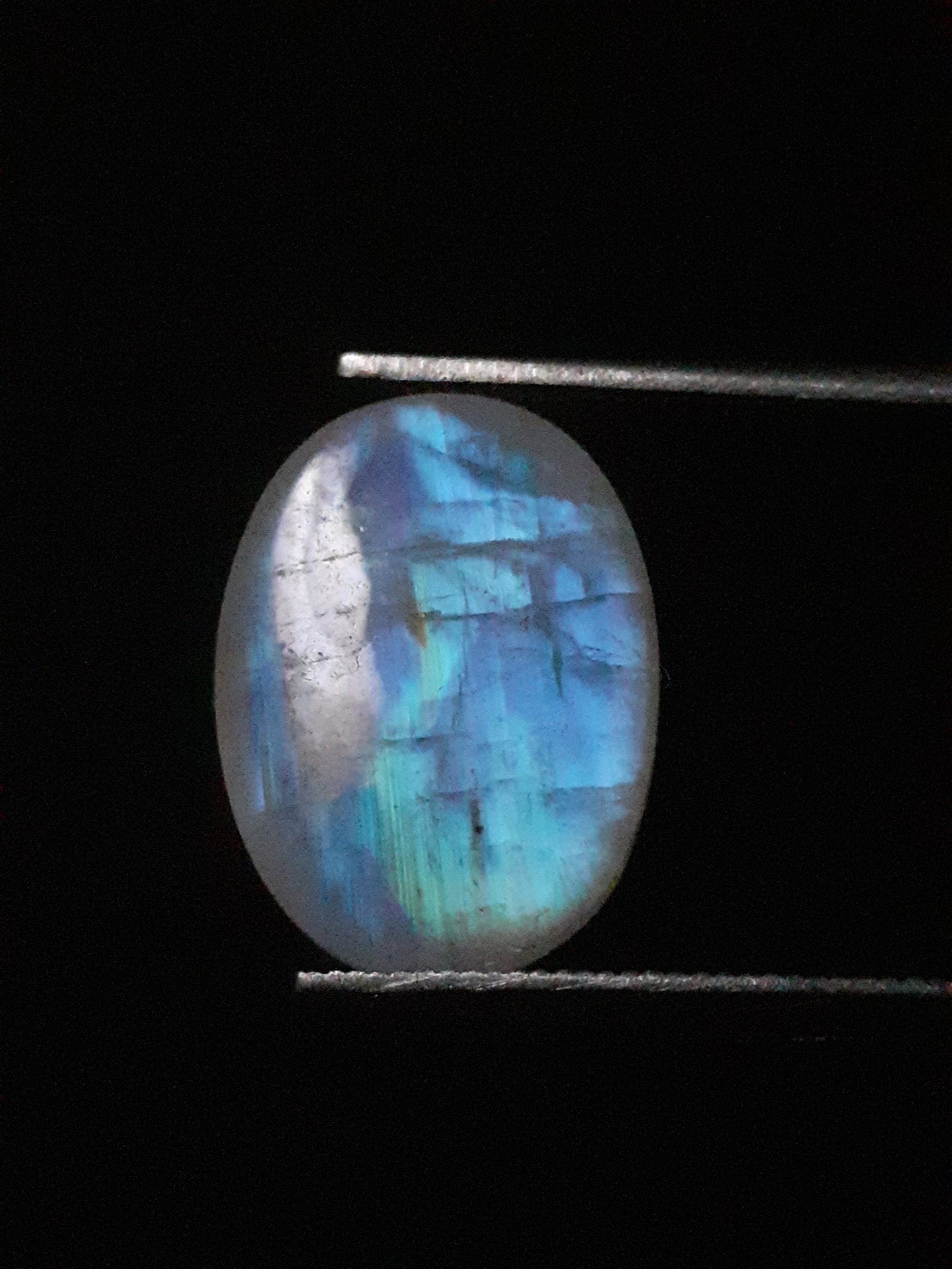 Natural Moonstone - blue adularescence - 2.810 ct - oval - certified natural - Natural Gems Belgium