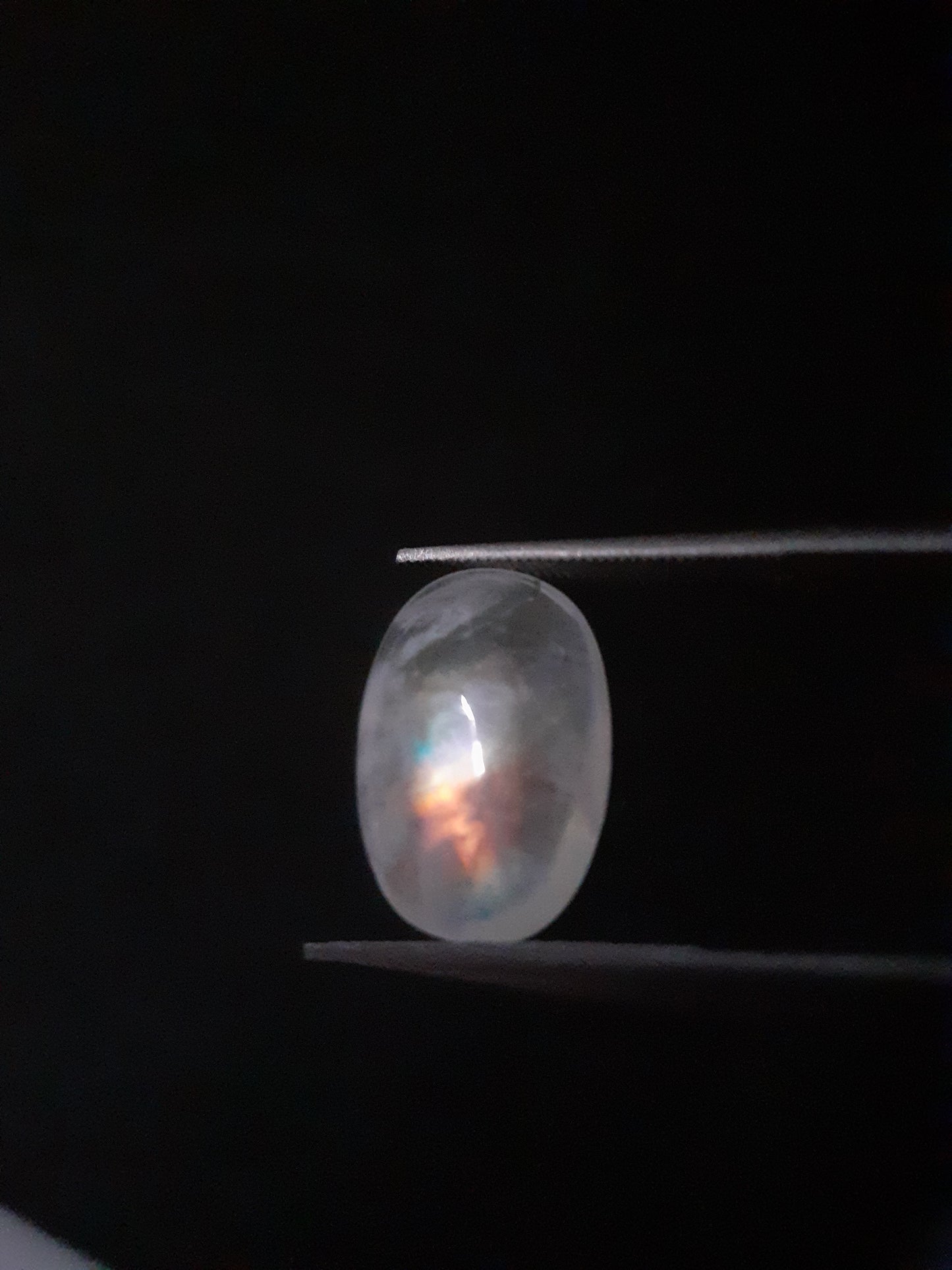 Natural Moonstone - rainbow adularescence - 3.054 ct - oval - certified natural - Natural Gems Belgium