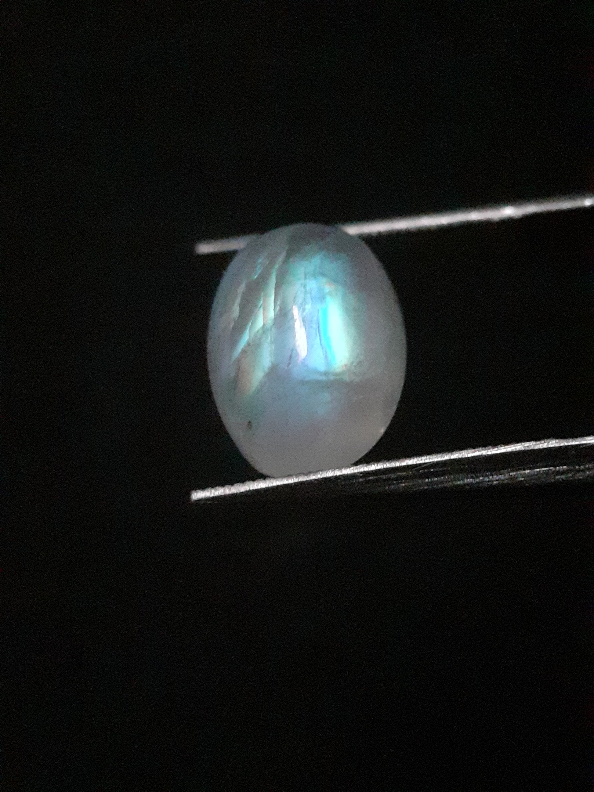 Natural Moonstone - blue adularescence - 3.574 ct - oval - certified natural - Natural Gems Belgium