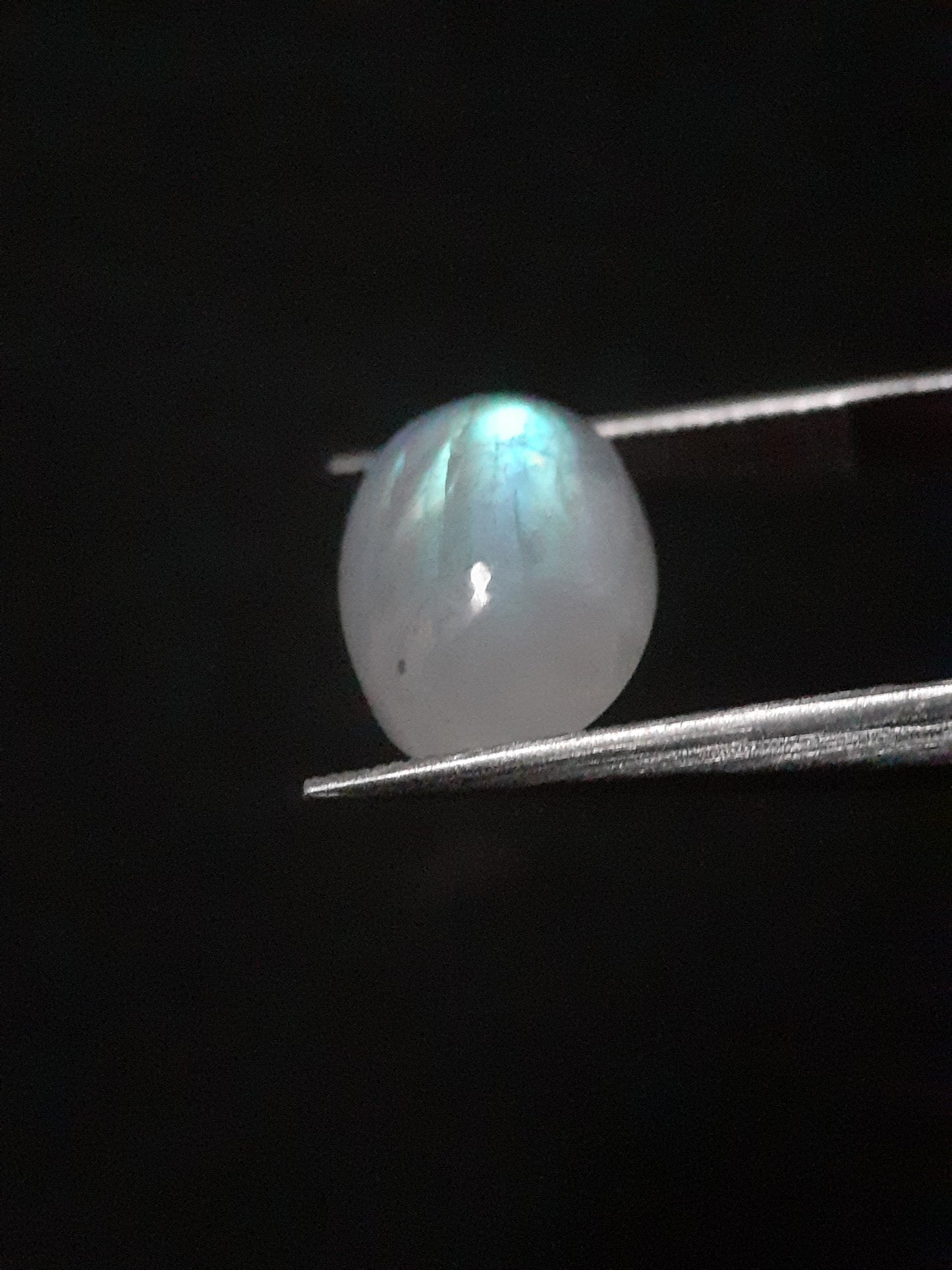 Natural Moonstone - blue adularescence - 3.574 ct - oval - certified natural - Natural Gems Belgium