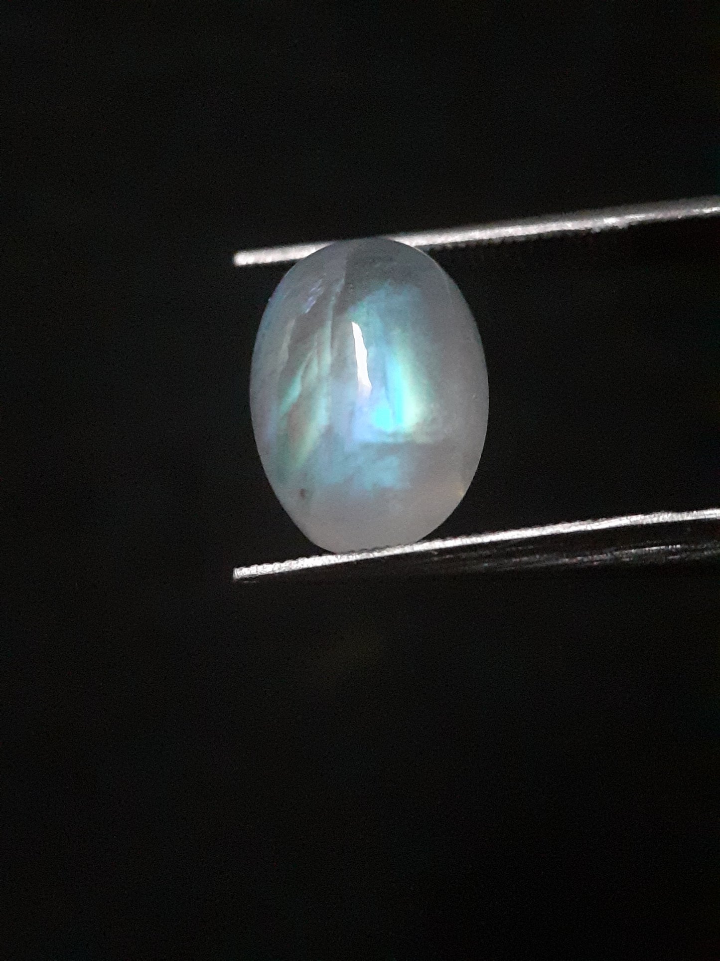 Natural Moonstone - blue adularescence - 3.574 ct - oval - certified natural - Natural Gems Belgium