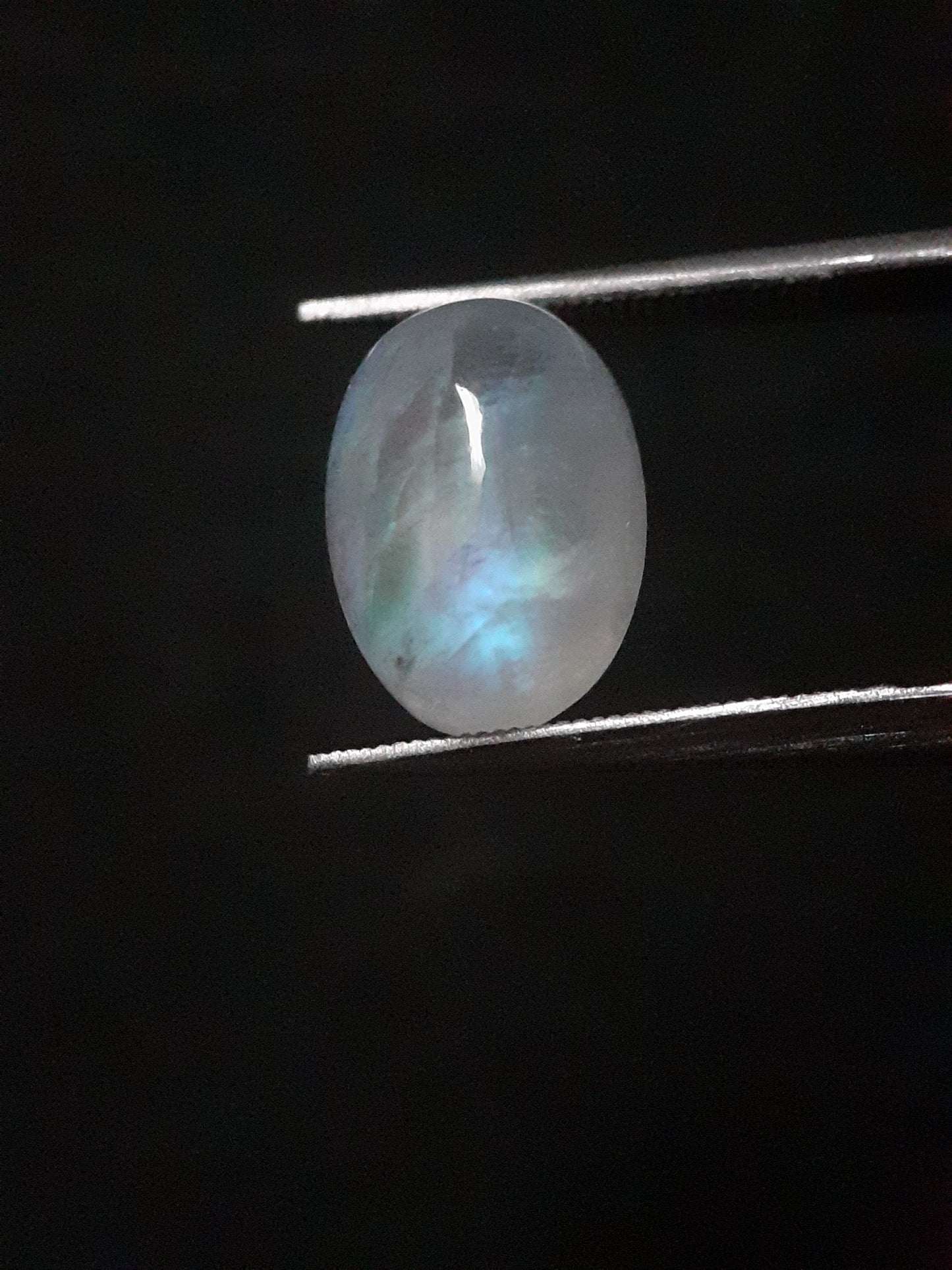 Natural Moonstone - blue adularescence - 3.574 ct - oval - certified natural - Natural Gems Belgium