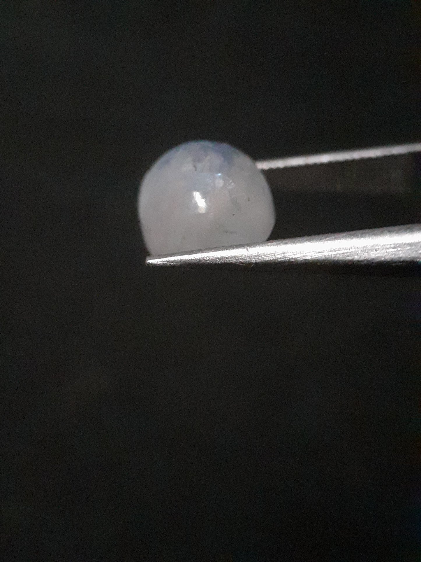 Natural Moonstone - light blue adularescence - 2.235 ct - oval - certified natural - Natural Gems Belgium