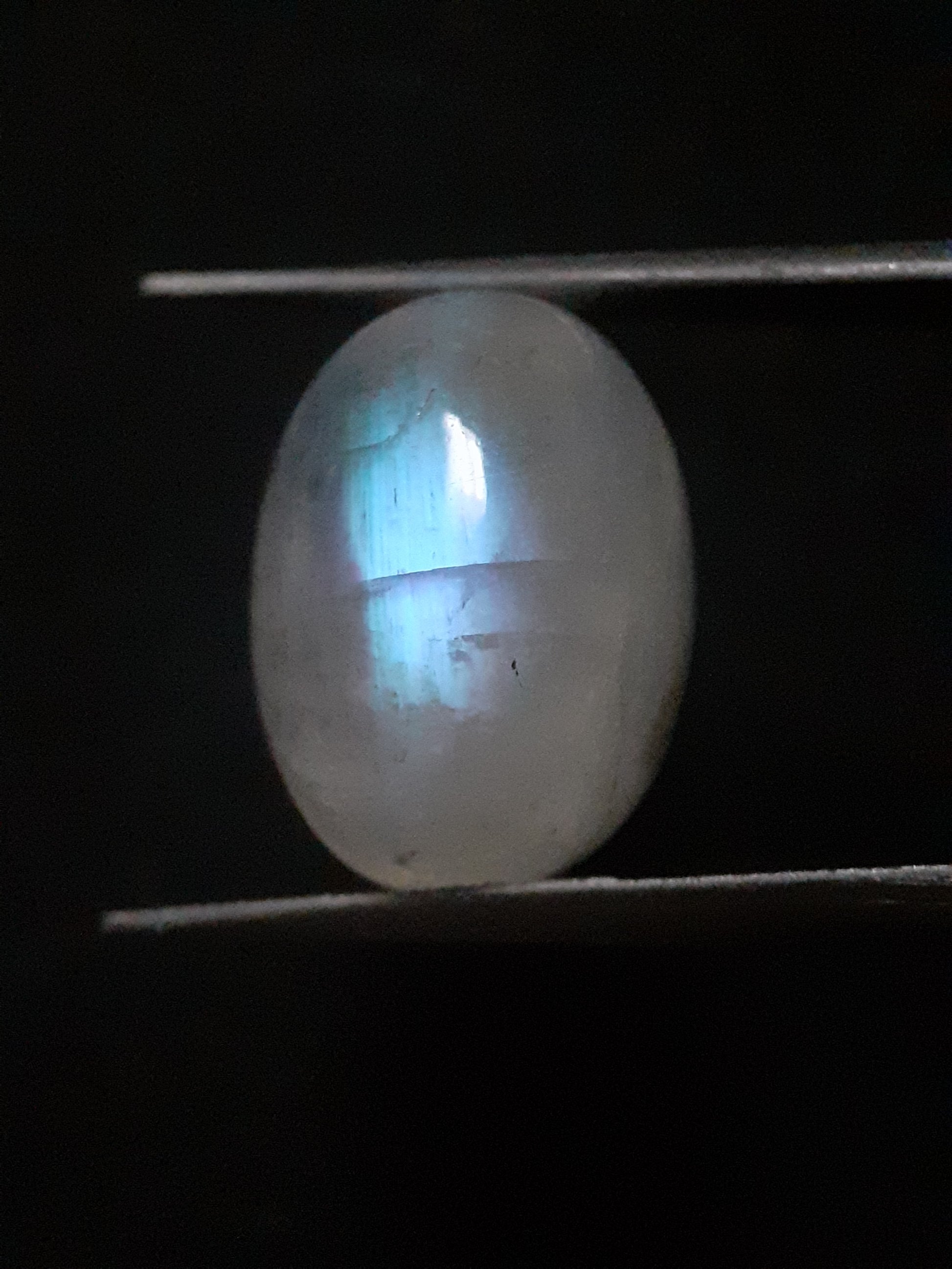 Natural Moonstone - blue adularescence - 13.143 ct - oval - certified natural - Natural Gems Belgium