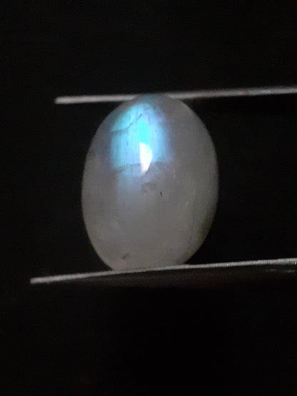 Natural Moonstone - blue adularescence - 13.143 ct - oval - certified natural - Natural Gems Belgium