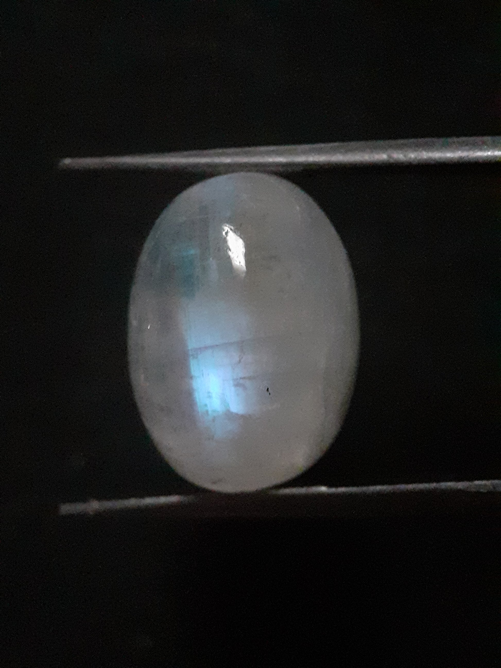 Natural Moonstone - blue adularescence - 13.143 ct - oval - certified natural - Natural Gems Belgium