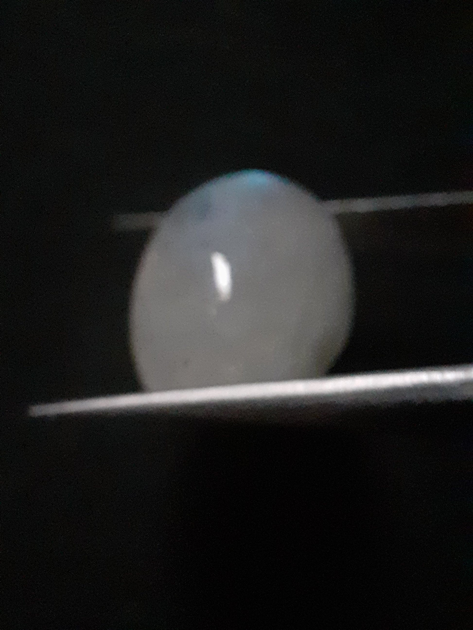 Natural Moonstone - blue adularescence - 13.143 ct - oval - certified natural - Natural Gems Belgium