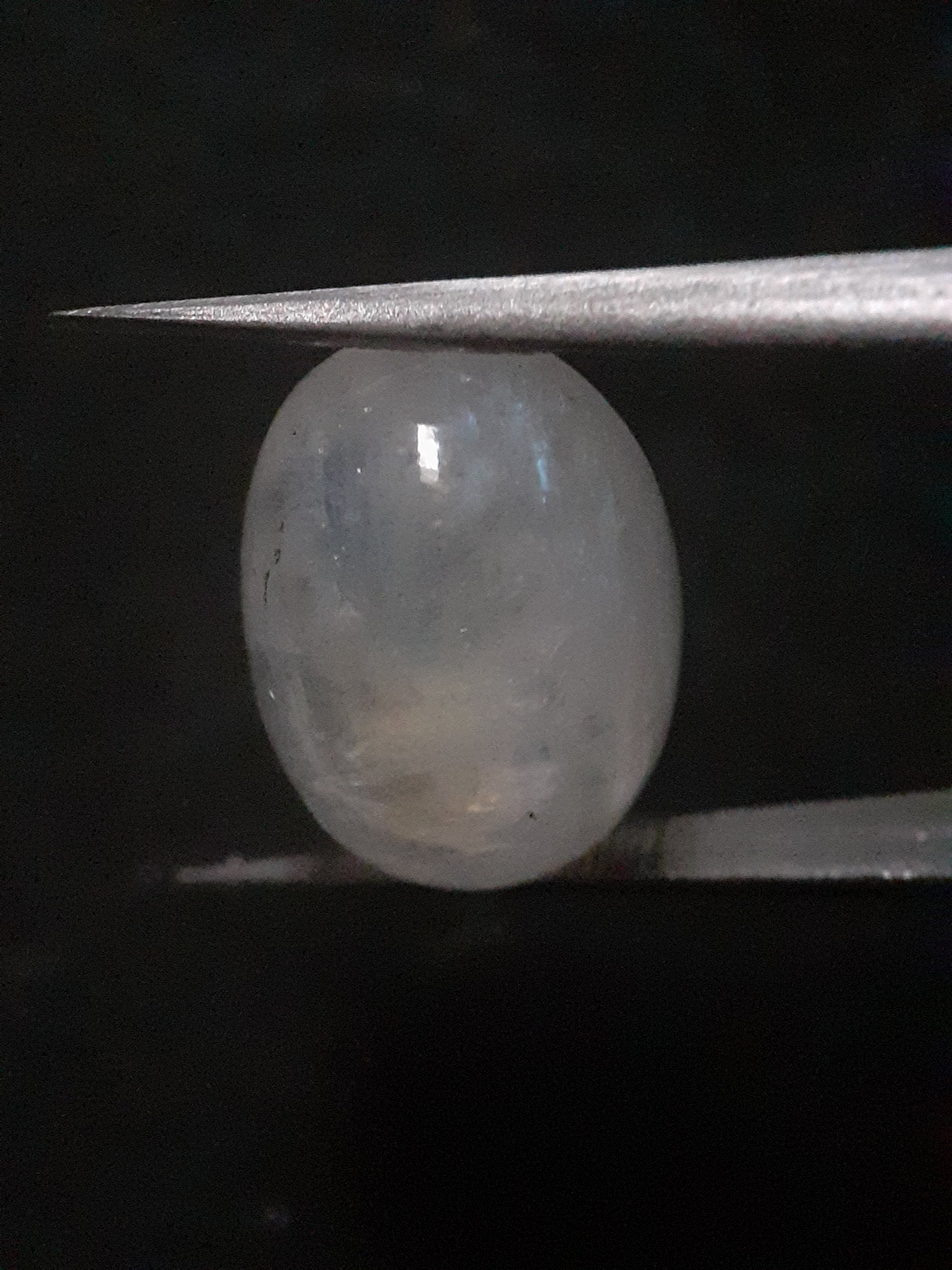 Natural Moonstone - blue adularescence - 13.143 ct - oval - certified natural - Natural Gems Belgium