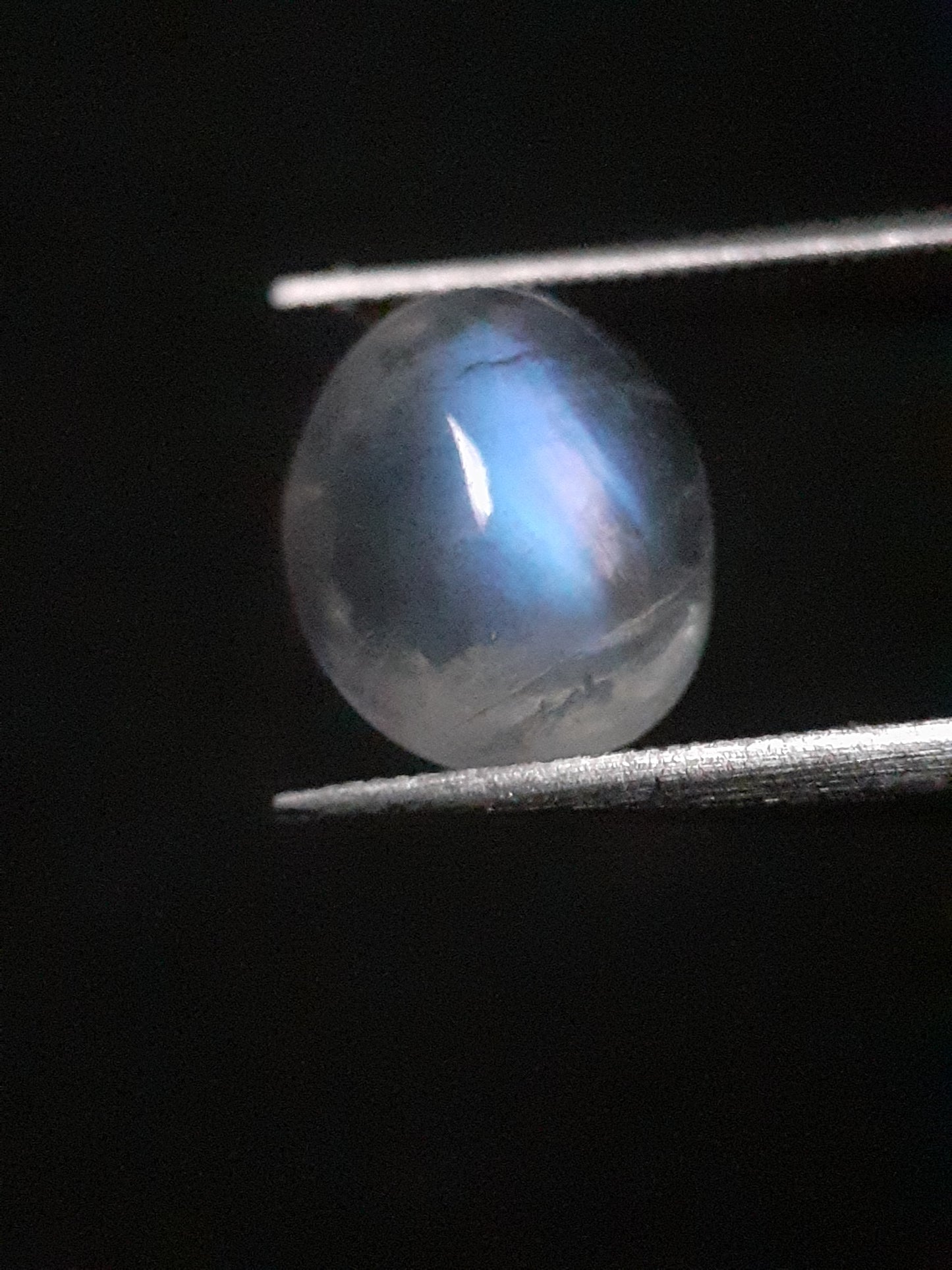 Natural Moonstone - blue adularescence - 2.398 ct - oval - Natural Gems Belgium