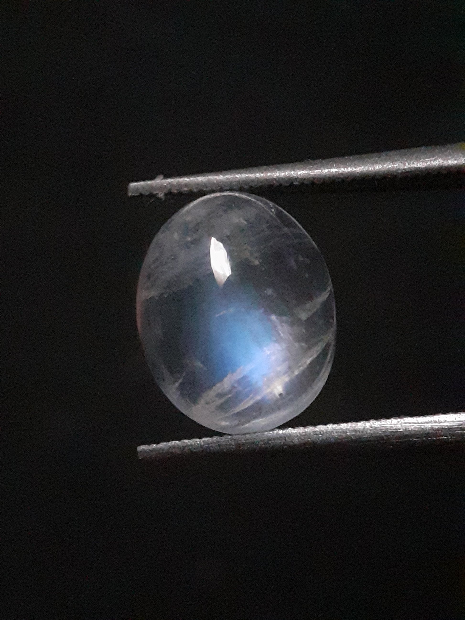 Natural Moonstone - blue adularescence - 2.398 ct - oval - Natural Gems Belgium