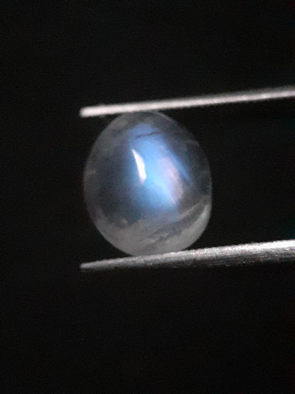 Natural Moonstone - blue adularescence - 2.398 ct - oval - Natural Gems Belgium