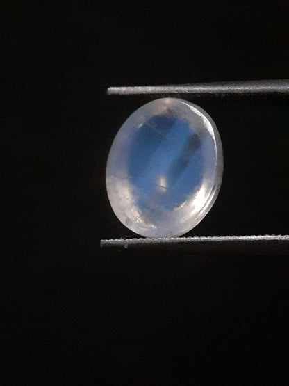 Natural Moonstone - blue adularescence - 2.398 ct - oval - Natural Gems Belgium