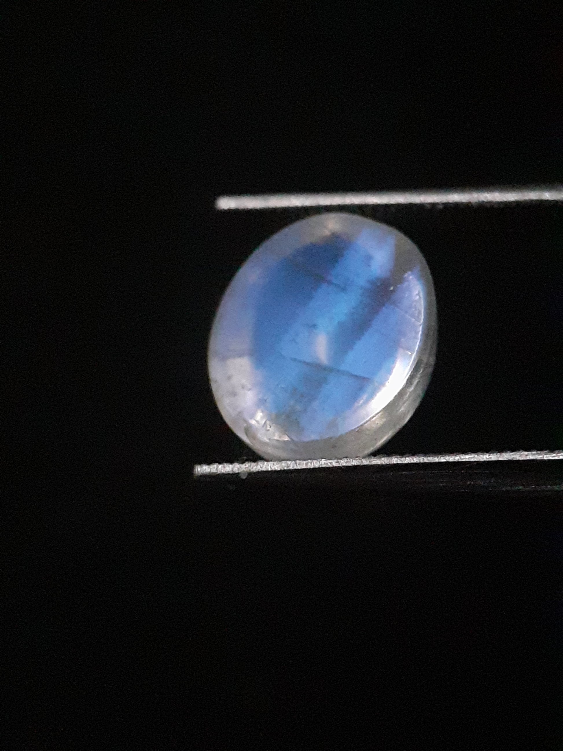 Natural Moonstone - blue adularescence - 2.398 ct - oval - Natural Gems Belgium