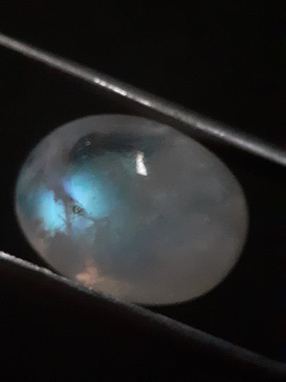 Natural Moonstone - greenish blue adularescence - 13.385 ct - oval cabochon - Natural Gems Belgium