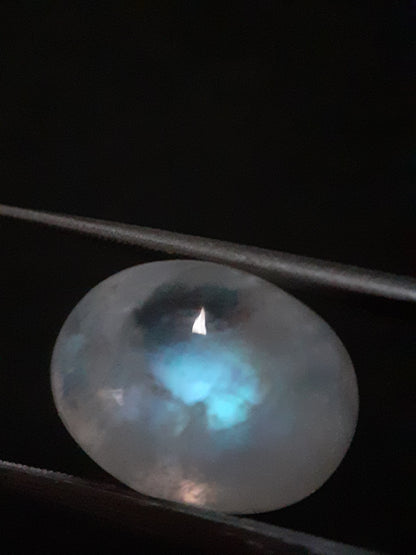 Natural Moonstone - greenish blue adularescence - 13.385 ct - oval cabochon - Natural Gems Belgium