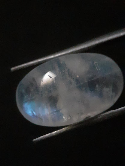 Natural Moonstone - pale blue to blue adularescence - 9.355 ct - oval cabochon - Natural Gems Belgium