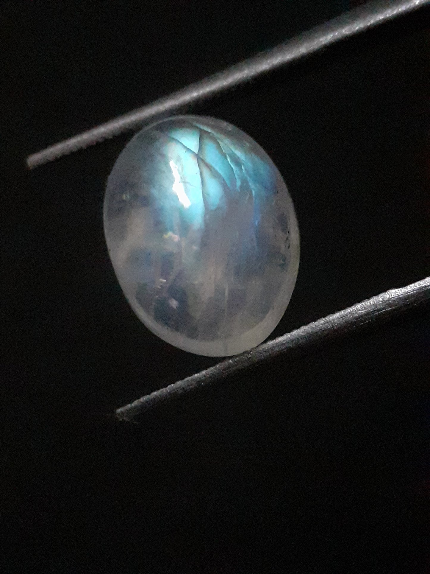 Natural Moonstone - pale blue adularescence - 3.374 ct - oval cabochon - Natural Gems Belgium