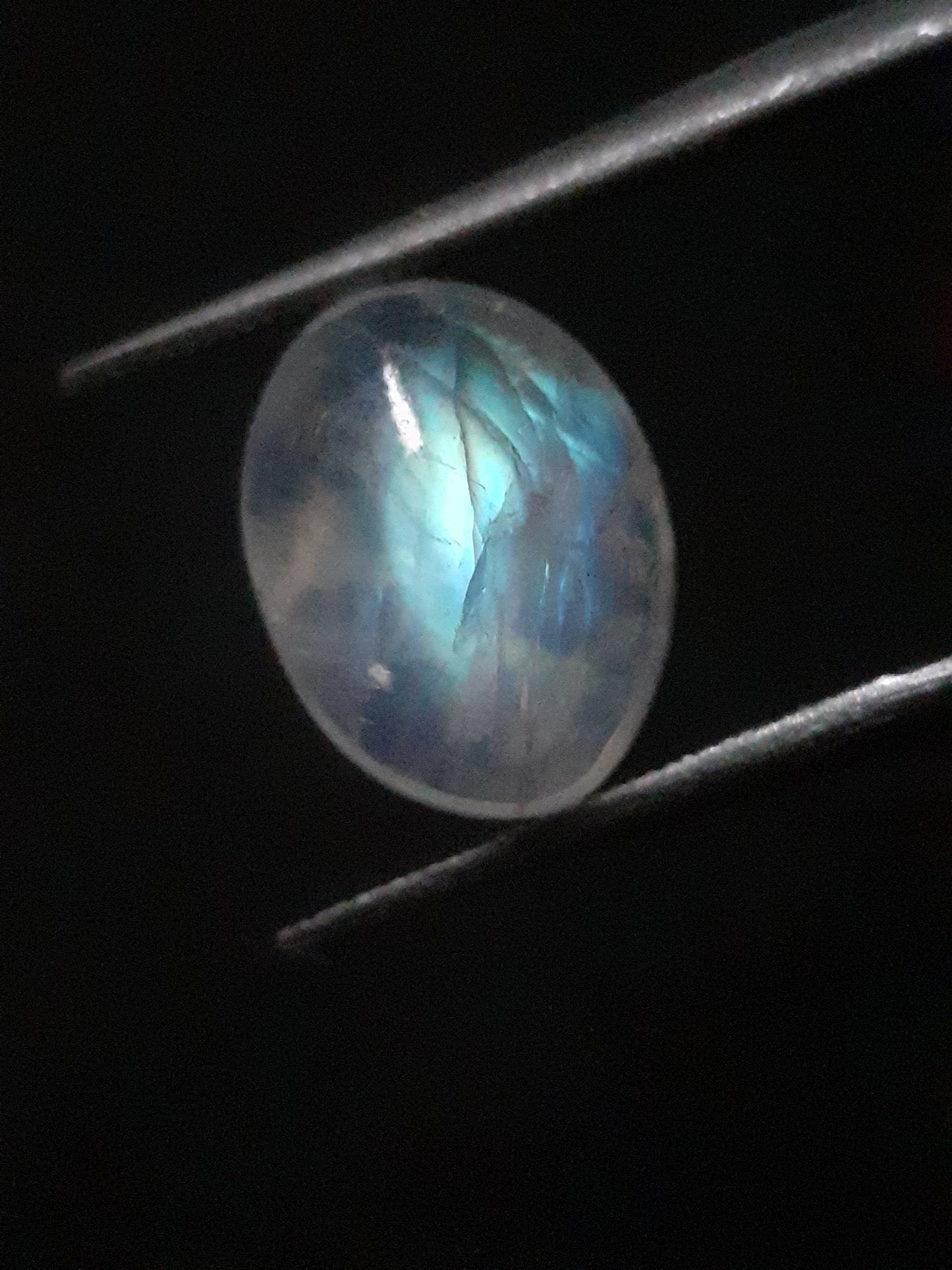 Natural Moonstone - pale blue adularescence - 3.374 ct - oval cabochon - Natural Gems Belgium