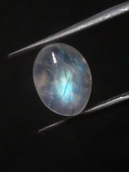 Natural Moonstone - pale blue adularescence - 3.374 ct - oval cabochon - Natural Gems Belgium