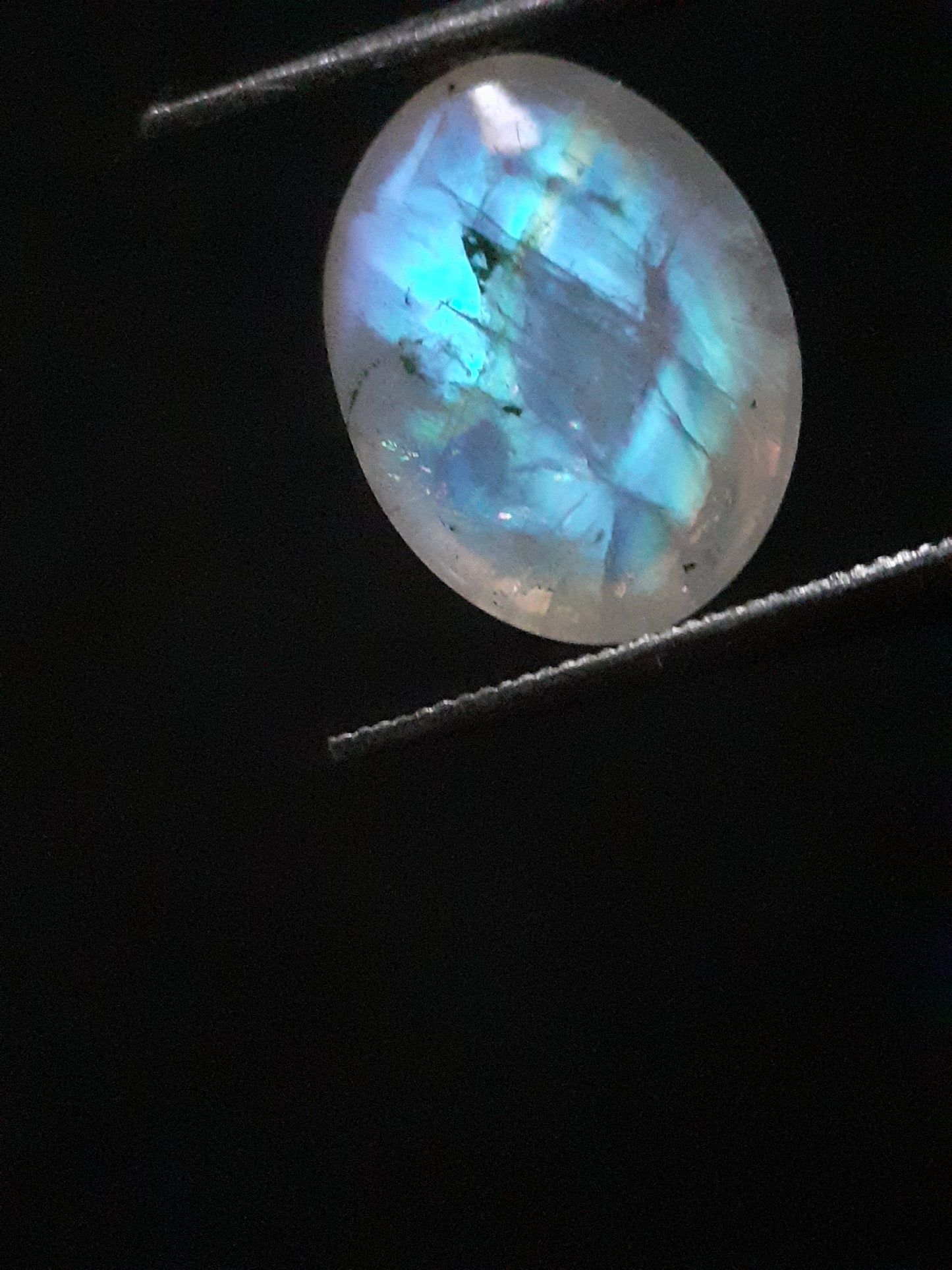 Natural Moonstone - pale blue adularescence - 3.374 ct - oval cabochon - Natural Gems Belgium