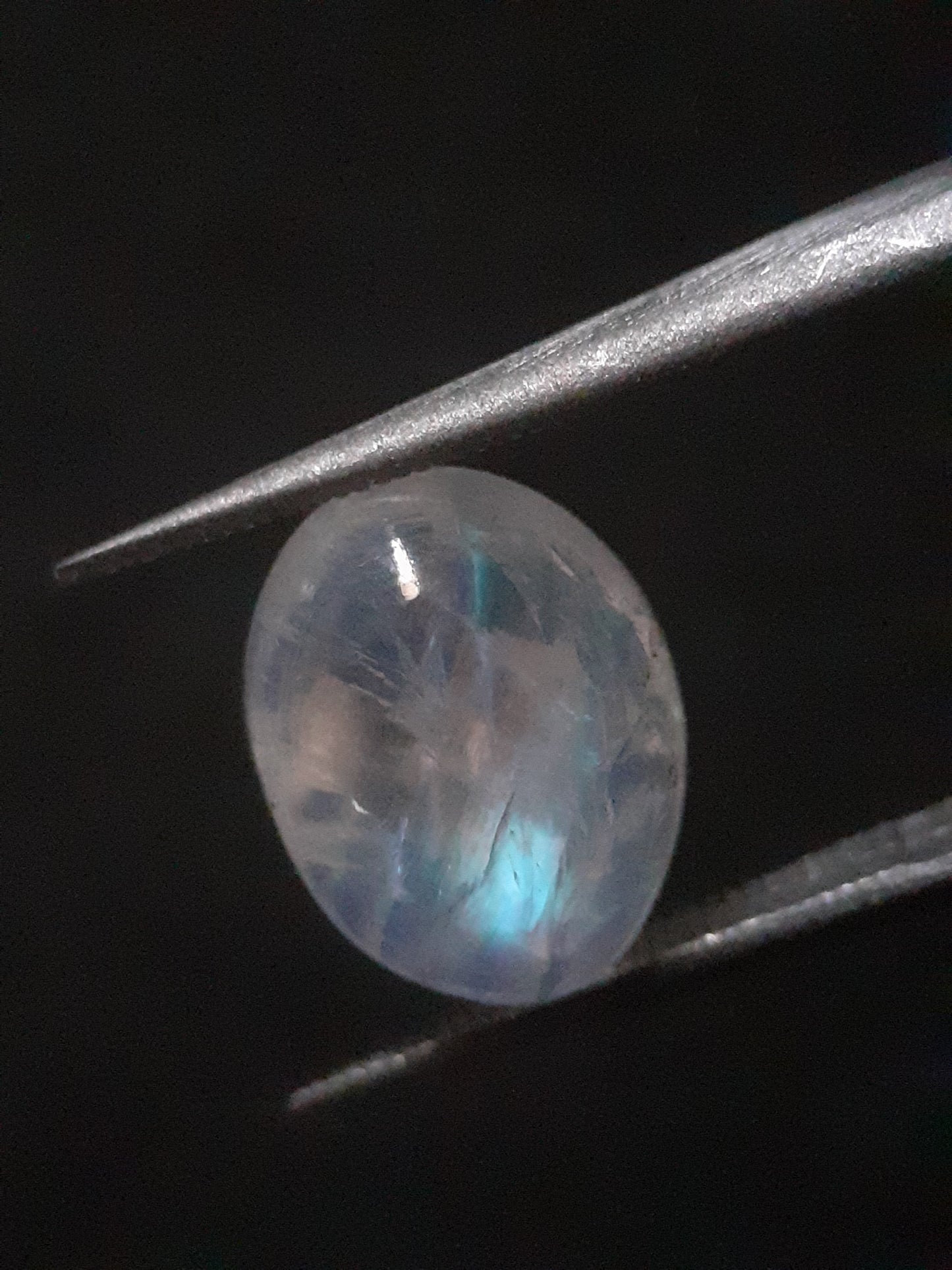 Natural Moonstone - pale blue adularescence - 3.374 ct - oval cabochon - Natural Gems Belgium