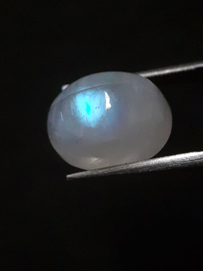 Natural Moonstone - pale blue adularescence - 8.064 ct - oval cabochon - Natural Gems Belgium