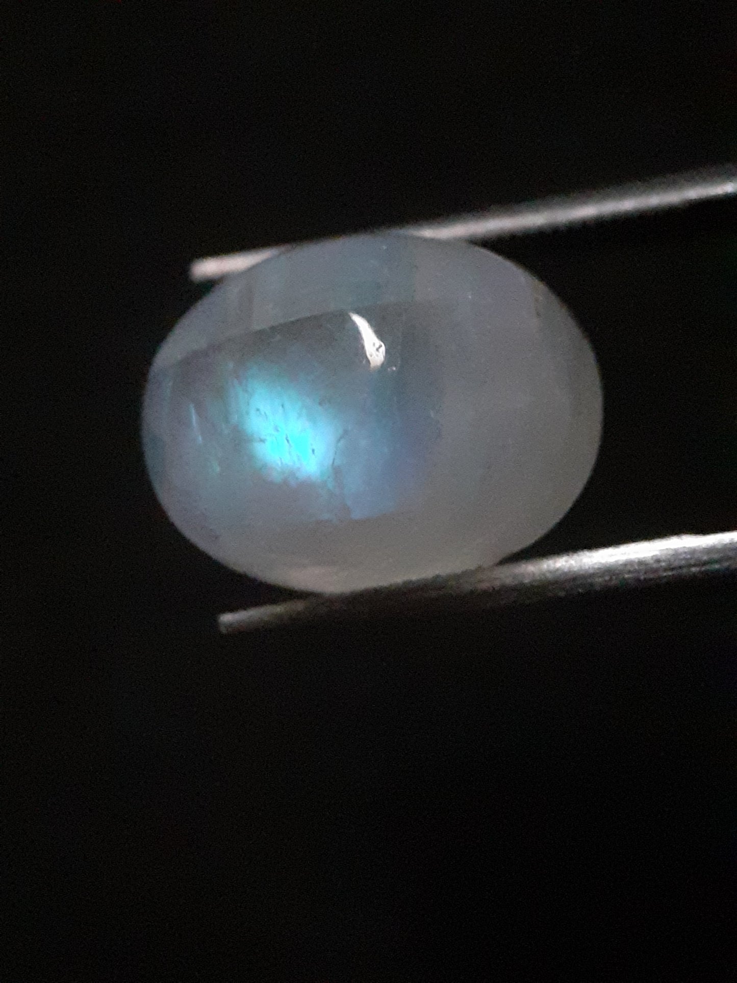 Natural Moonstone - pale blue adularescence - 8.064 ct - oval cabochon - Natural Gems Belgium