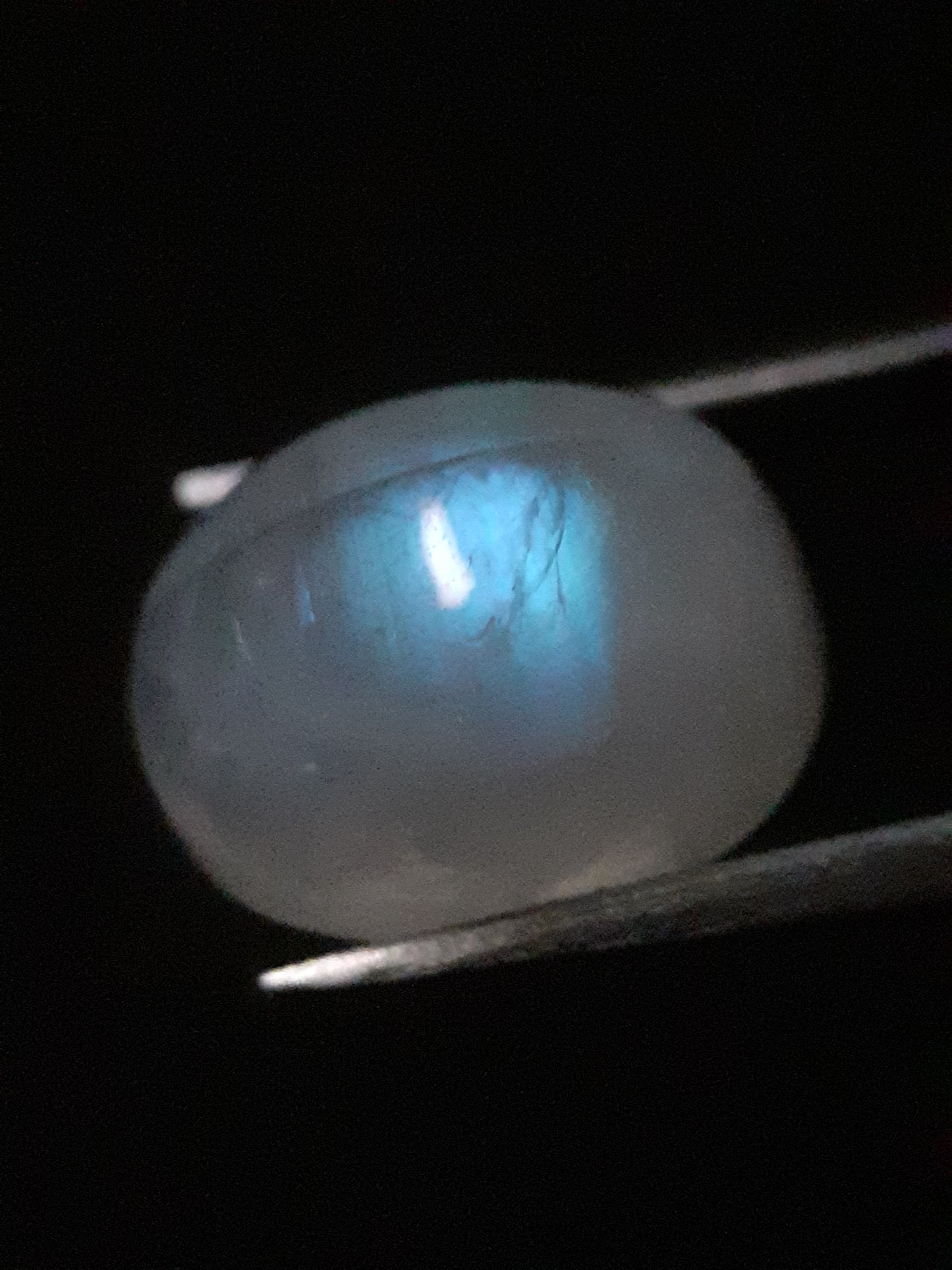 Natural Moonstone - pale blue adularescence - 8.064 ct - oval cabochon - Natural Gems Belgium