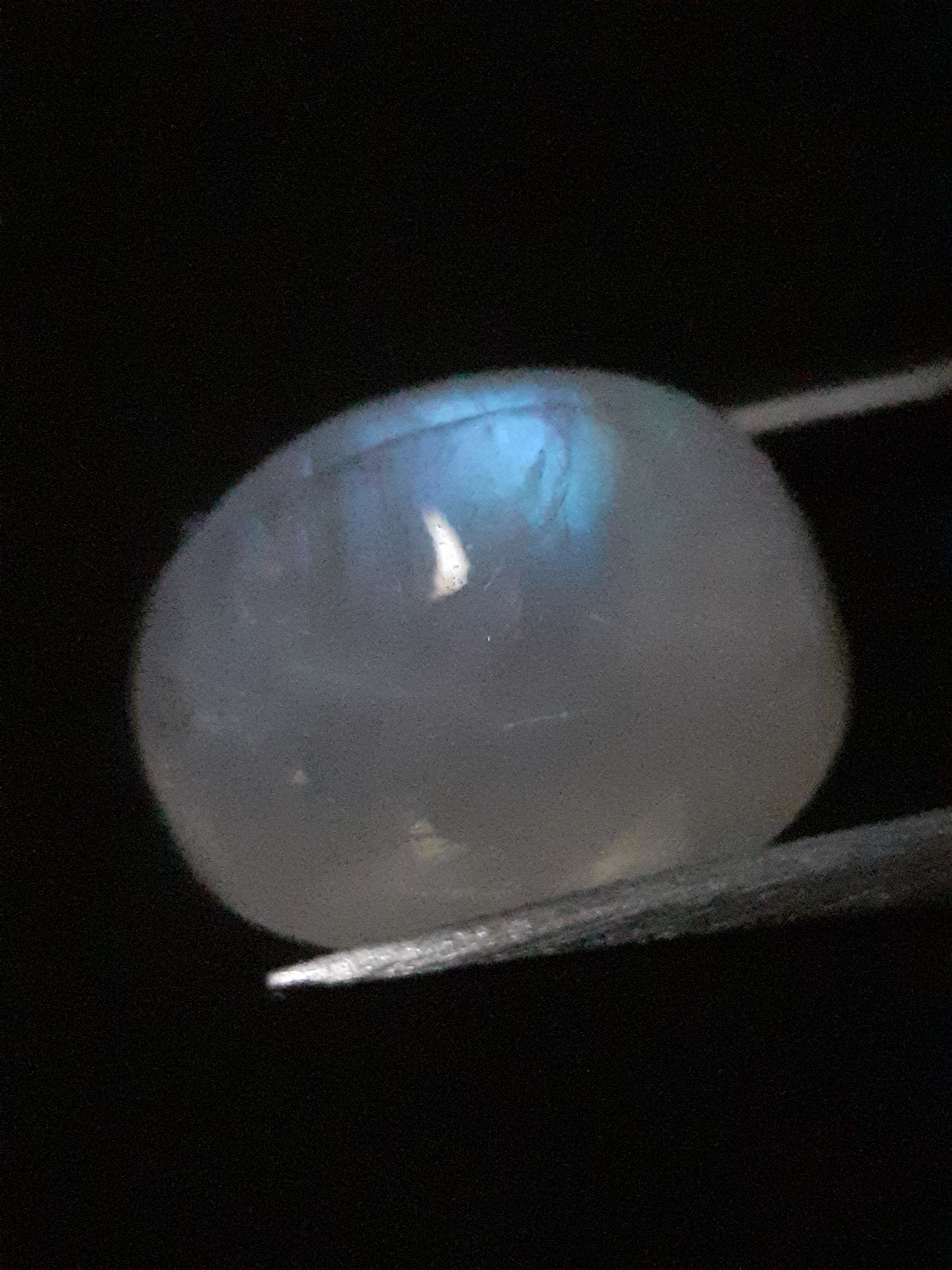 Natural Moonstone - pale blue adularescence - 8.064 ct - oval cabochon - Natural Gems Belgium