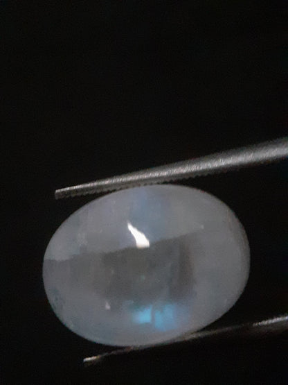 Natural Moonstone - pale blue adularescence - 8.064 ct - oval cabochon - Natural Gems Belgium