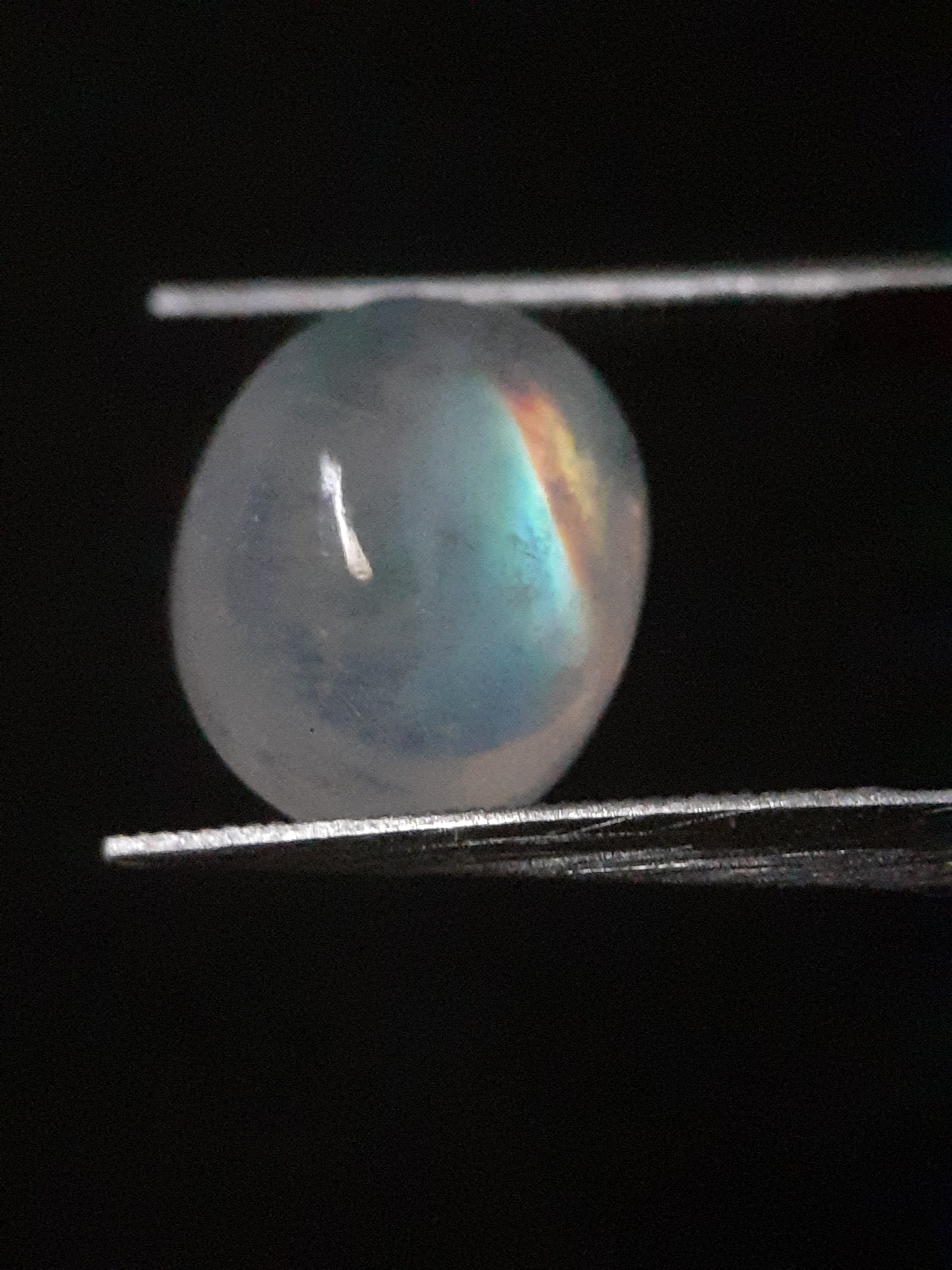 Natural Moonstone - orangey yellow and pale blue adularescence - 3.883 ct - oval - Natural Gems Belgium