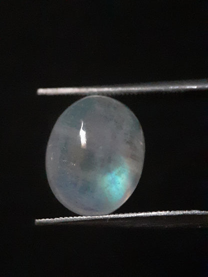 Natural Moonstone - orangey yellow and pale blue adularescence - 3.883 ct - oval - Natural Gems Belgium