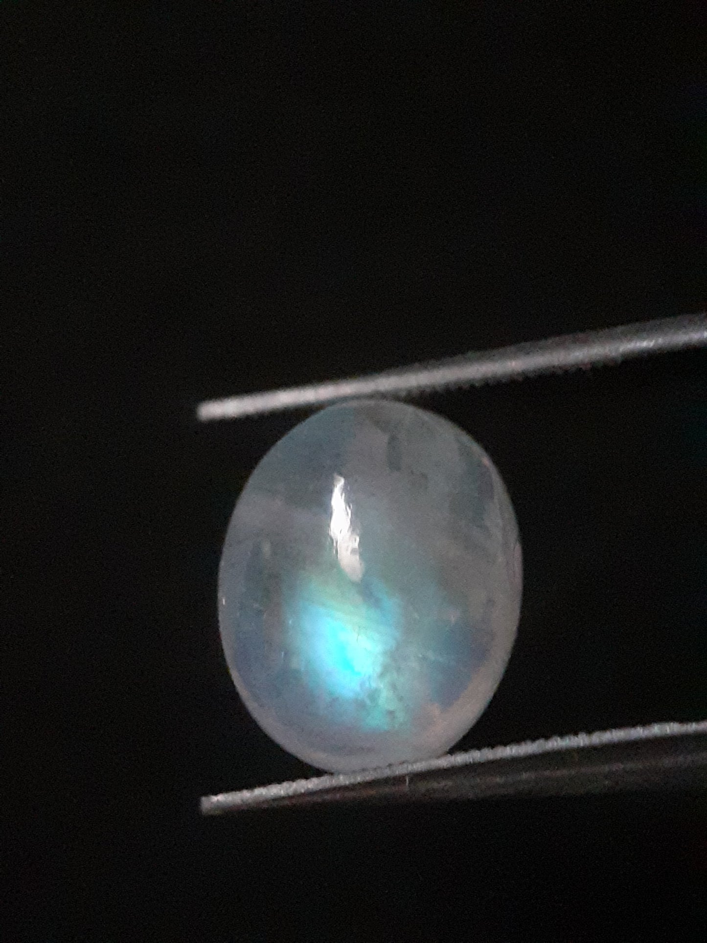 Natural Moonstone - orangey yellow and pale blue adularescence - 3.883 ct - oval - Natural Gems Belgium