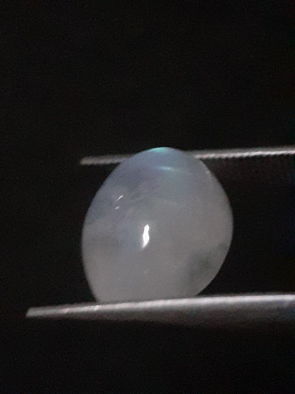 Natural Moonstone - orangey yellow and pale blue adularescence - 3.923 ct - oval - Natural Gems Belgium