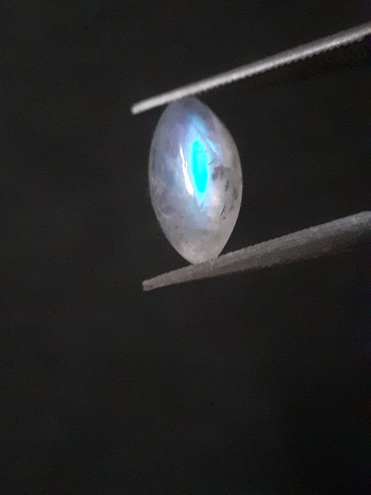 Natural Moonstone - lightblue and purplish adularescence - 1.485 ct - marquise cabochon - Natural Gems Belgium