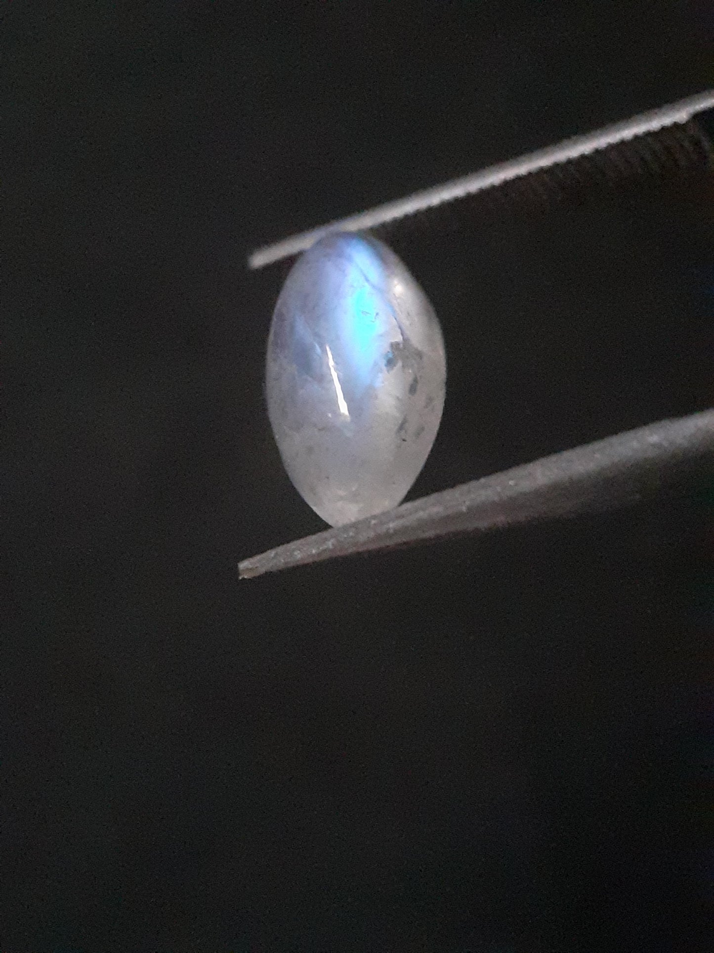 Natural Moonstone - lightblue and purplish adularescence - 1.485 ct - marquise cabochon - Natural Gems Belgium