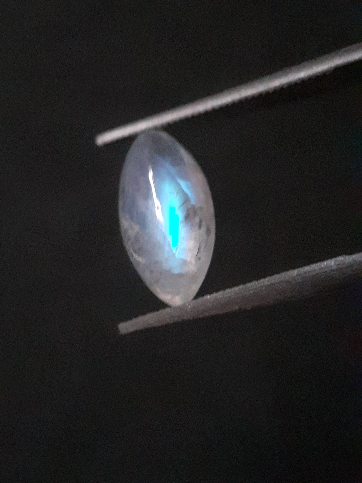 Natural Moonstone - lightblue and purplish adularescence - 1.485 ct - marquise cabochon - Natural Gems Belgium