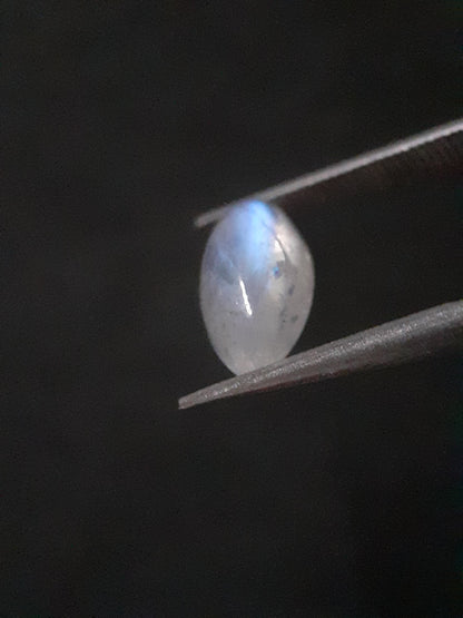 Natural Moonstone - lightblue and purplish adularescence - 1.485 ct - marquise cabochon - Natural Gems Belgium