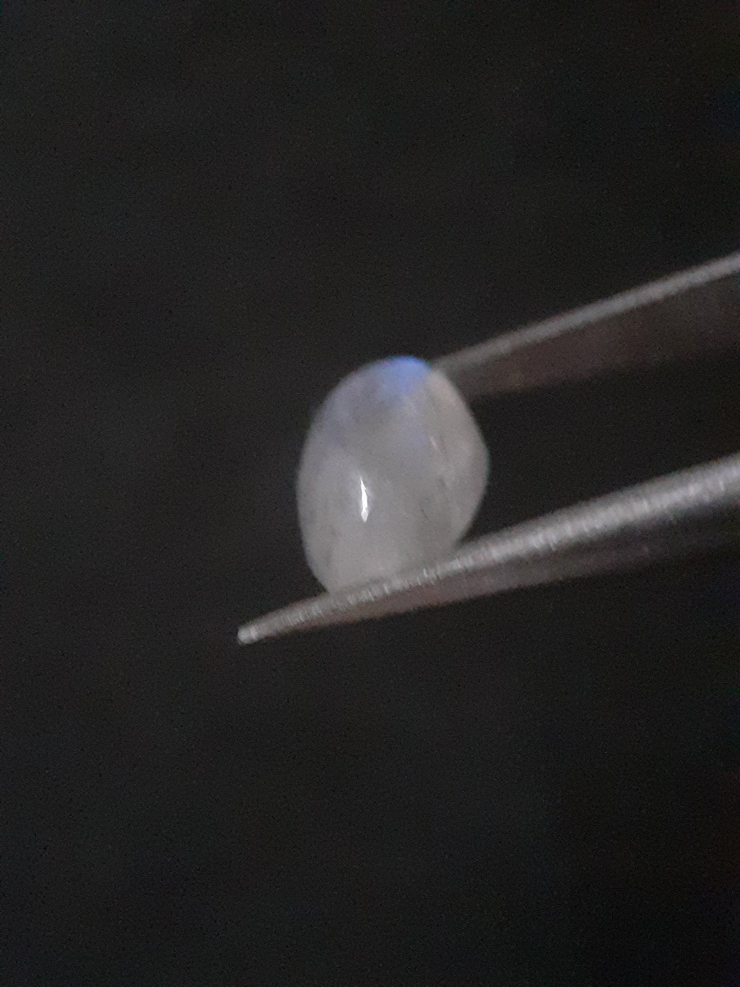 Natural Moonstone - lightblue and purplish adularescence - 1.485 ct - marquise cabochon - Natural Gems Belgium