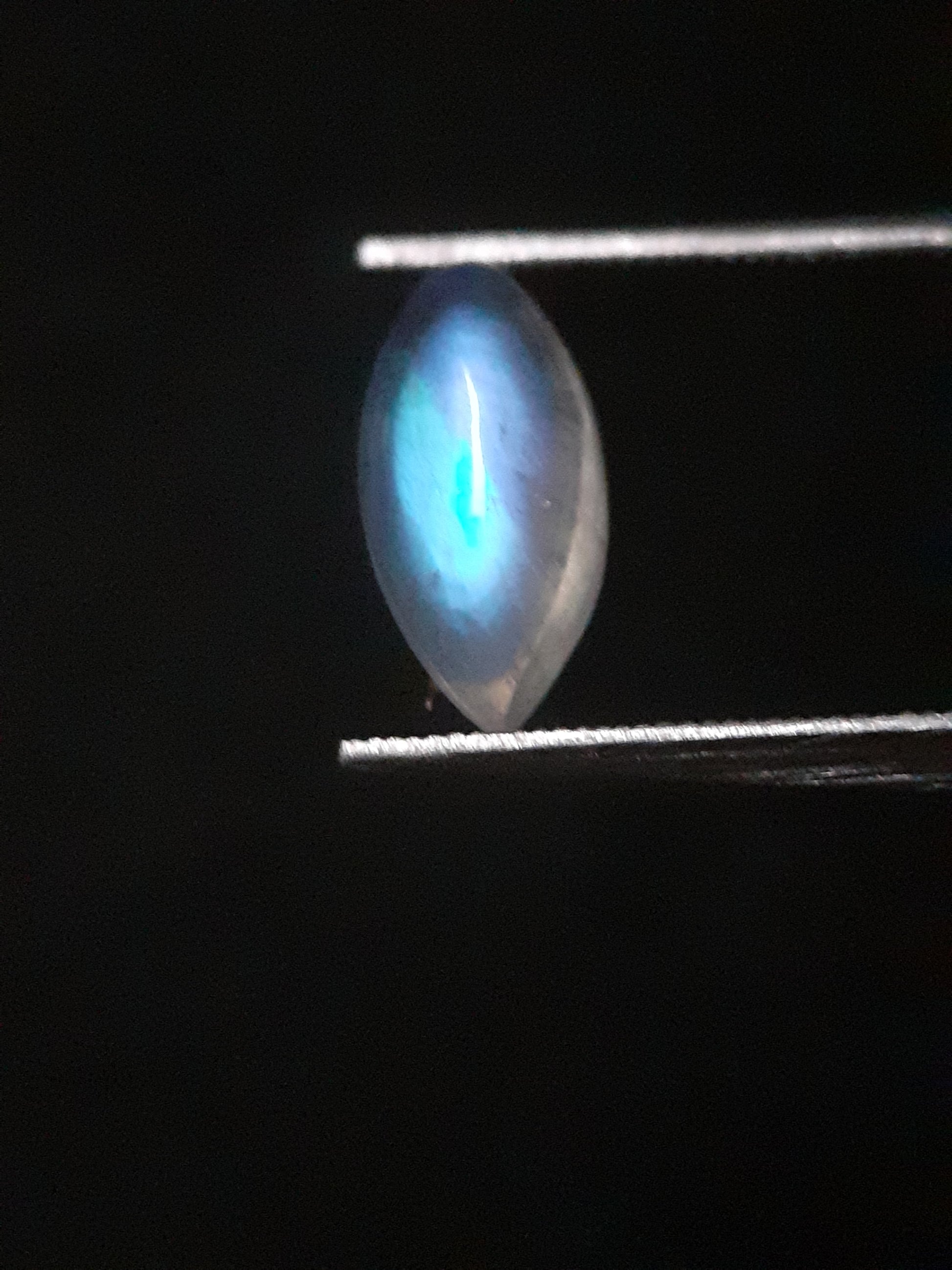 Natural Moonstone - lightblue and purplish blue adularescence - 1.305 ct - marquise cabochon - Natural Gems Belgium