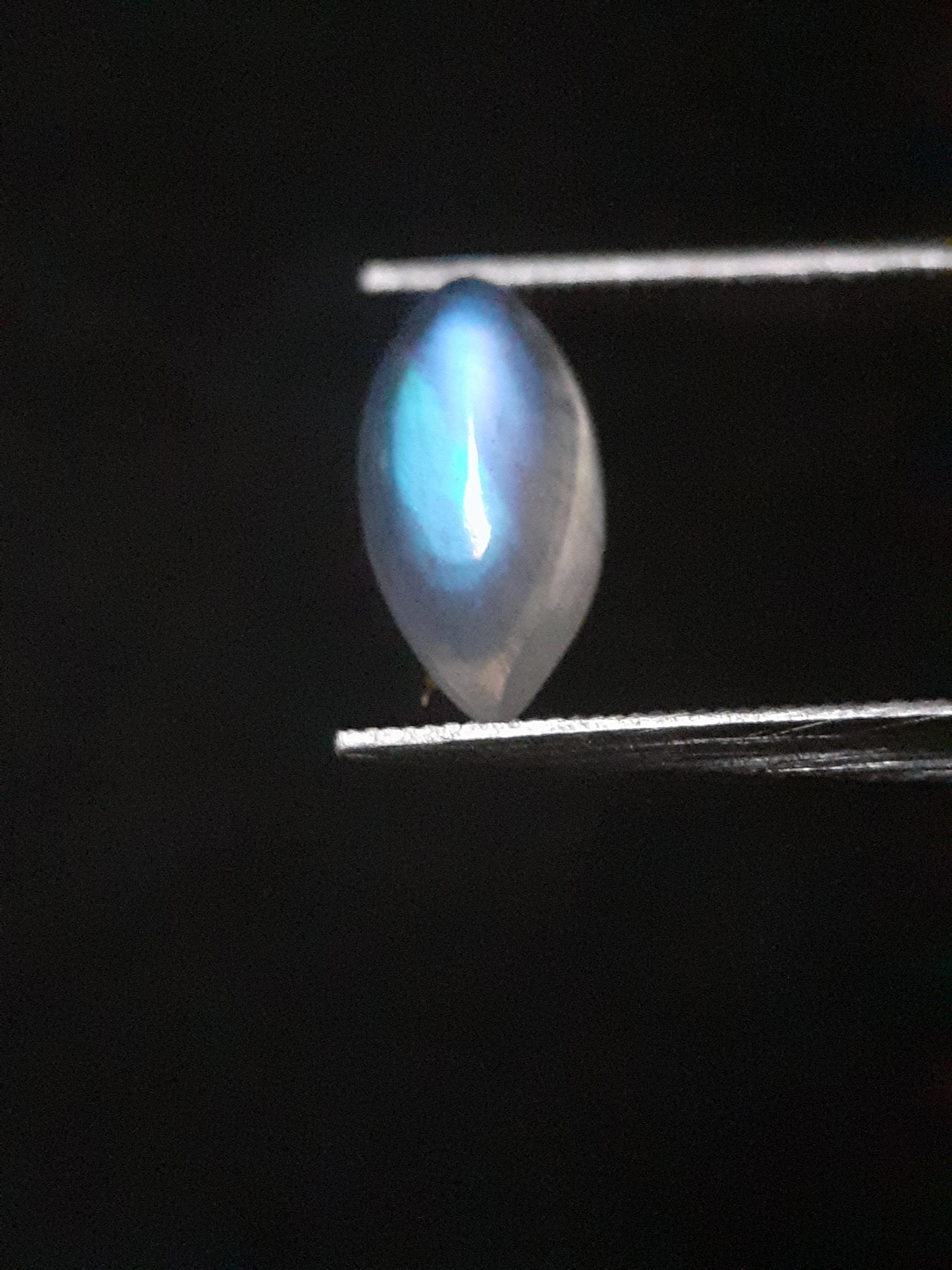 Natural Moonstone - lightblue and purplish blue adularescence - 1.305 ct - marquise cabochon - Natural Gems Belgium