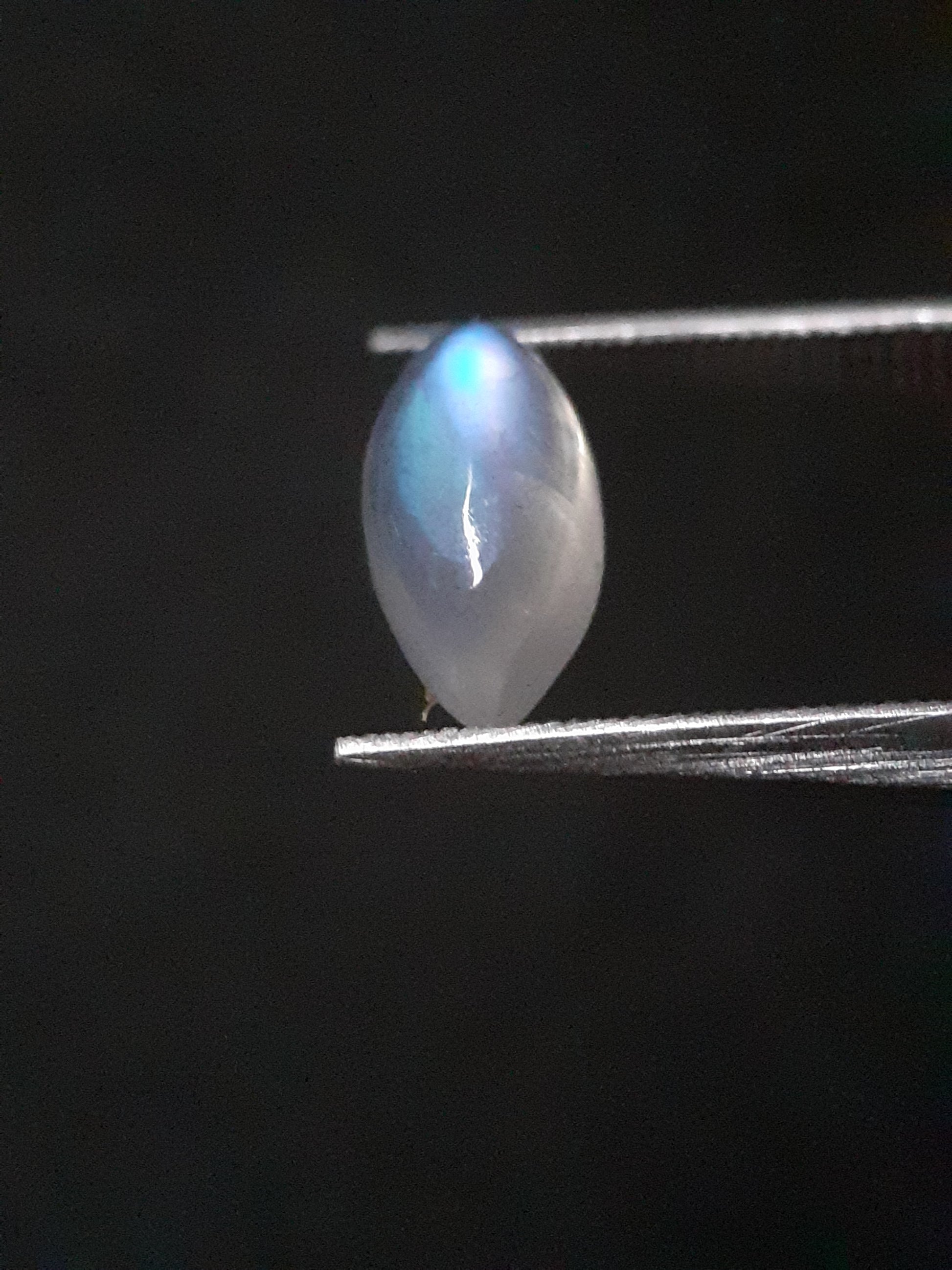 Natural Moonstone - lightblue and purplish blue adularescence - 1.305 ct - marquise cabochon - Natural Gems Belgium