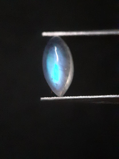 Natural Moonstone - lightblue and purplish blue adularescence - 1.305 ct - marquise cabochon - Natural Gems Belgium